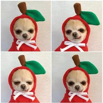 Pet Elk Transformation Dog Cat Small Medium Dog Autumn Winter Sweater Dog Fleece Clothing Cat Supplies Teddy Doo XS (bust 32CM about 2-2kg pet)