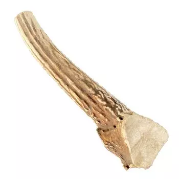 Pet Food Research Institute Добавка для оленьих рогов Добавка для жевания собак Бесплатная домашняя оленья зубная паста Уход за зубами Густая [Отечественного производства, бесплатно] Игрушка, Игрушка,