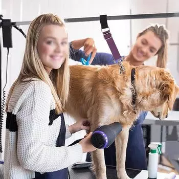 Pet Grooming Arm Extension Strap Adjustable Quick Release Dog Grooming Leash Grooming Loop Extension Pet Grooming Accessories серый