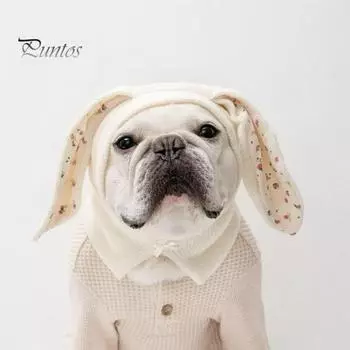 Шляпа для домашних животных с цветочным узором, очаровательные кроличьи уши, вязаная шапка для собаки, удобный теплый зимний головной убор для кошки, для холода S чёрный