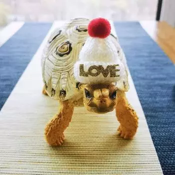 Pet Hat Pet Christmas Hat Hamster Turtle Lizard Parrot Djungarian Hamster Sugar Glider Headdress Pet Supplies White Christmas Hat All yards