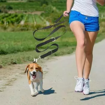 Pet High-elastic Dog Chain Traction Rope Telescopic Traction Belt Rope Big Dog