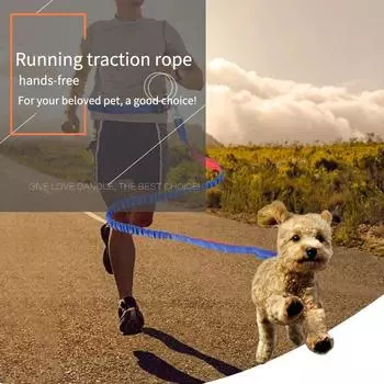 Pet Leash Multifunctional Dog Walking Leash Stretchable Elastic Explosion-Proof Punch Outdoor Running Dog Walking Leash зелёный