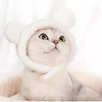 Pet plush hood piggy cat cat hat cute cat small dog pet fashion versatile hat cute pet