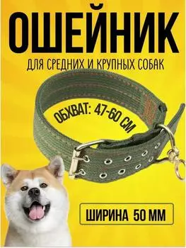 Pet Ribbon Fruit Cat Collar With Fruit Accessories Bell Pet Collar One Size зелёный