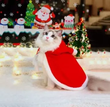 Pet с капюшоном для кошки, собаки и помпона, рождественский плащ для косплея Санты с костюмом для питомца, теплый головной убор для собак и S, плащ, одежда, одежда,