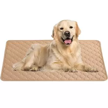 Pet Small Pet Туалет Подложка Quick L BIG&SO Простыня, Моющаяся, Кошка, Собака, Животное, Простыня, Коврик, Чехол, Сушка, Дезодорирующий, Антибактериальный, Бежевый, Размер,