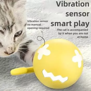 Pet Smart Ball Toy Fishbone Rolling Ball USB Luminous Electric Cat Ball Fun Relaxation Cat Stick Pet Accessories