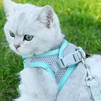 Pet Supplies Cat Traction Rope Vest Traction Belt Breathable Reflective Chest Back Dog Outdoor Anti-Free Rope Cat Accessories S