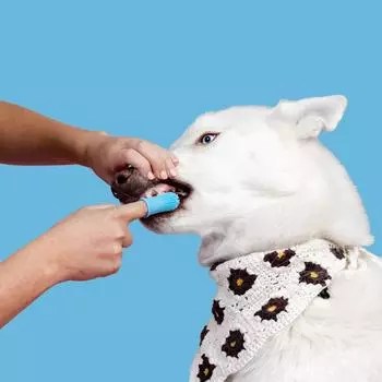 Pet Toothbrush Finger Set Brush Oral Cleaning Cats and Dogs Oral Dental Care To Prevent Tooth Decay Pet Cleaning Supplies 1PCS синий