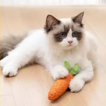 Игрушки для домашних животных в форме морковки, дразнящая кошачья палочка, встроенный колокольчик, милые нескучные игрушки для маленьких животных, жевательная палочка, устойчивая к укусам, веревка