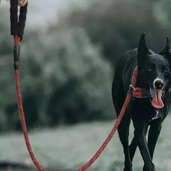 Pet traction rope anti-explosion P chain walking dog rope medium and large dog leash P rope anti-break free dog chain 1.2 meters