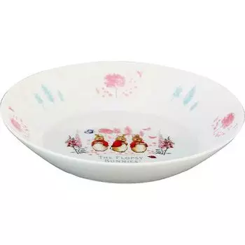 Peter Rabbit Pasta Dish Curry Dish Plate 22cm Microwave Safe Sisters Made in Japan PR562-355