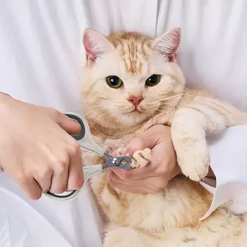Petio Cat Nail Clipper FIXCARE Handle Nail Scissors Non-Slip