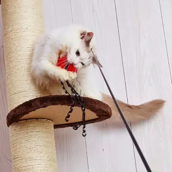 Petio Cat Toy Fishing Lover Nyanpei Special Сменные детали Octopus Big Propera