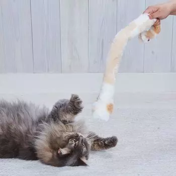 Petio Cat Toy Nyan Pro Cat Play Neighbor Cat Punch