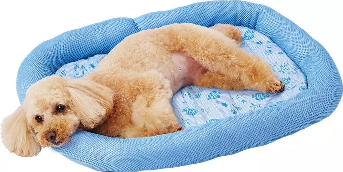 Petio Dog and Cat Antibacterial and Odor Cool Edge Pillow Bed as soon as you touch M Bed, Resistant, it,