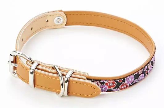 Petio Inuga Ошейник Сакура и Кикухира, черный, размер S чёрный