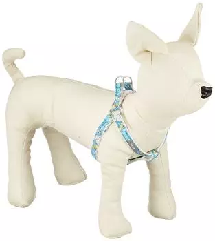 Petio Vispo Circus Harness, синий, размер XXS синий