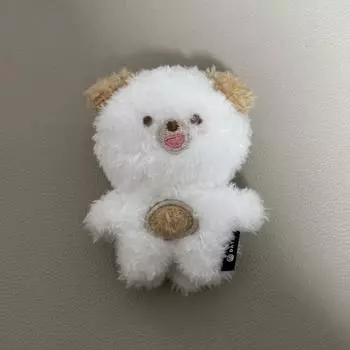 Petitmels Магнит Деньги