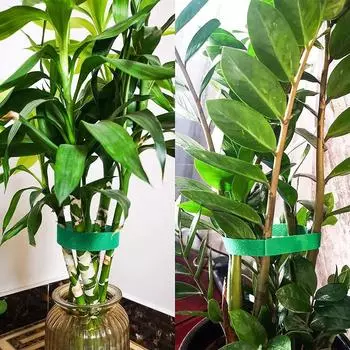 Петлевая система для крепления лозы для теплицы, подвязки для растений, опоры для растений, садовые принадлежности, обмотка тростника 2m