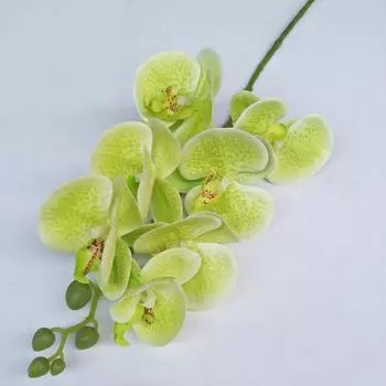 Phalaenopsis Artificial Orchid 3d Realistic Multi Stem For Home Wedding Decor StyleA