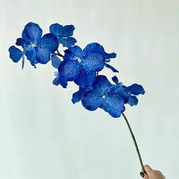 Phalaenopsis Flower Artificial Aphrodite Wedding Hotel Restaurant Decoration Leopard Blue