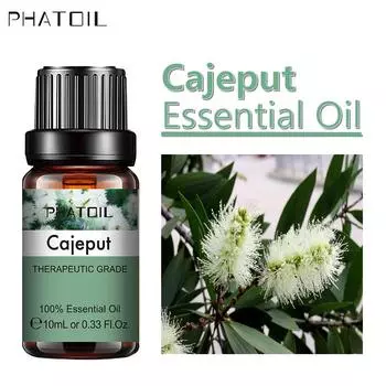 PHATOIL 5 мл/10 мл/15 мл/30 мл/100 мл Эфирные масла каепута Повышают иммунитет Чистое антибактериальное эфирное масло Дегельминтизация Спа-массажное масло для тела Cajeput-5ml+Dropper