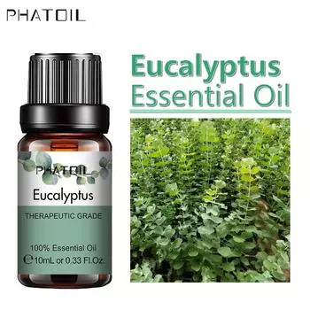 PHATOIL 5 мл / 10 мл / 15 мл / 30 мл / 100 мл Эфирное масло с чистым экстрактом растений эвкалипта для ароматерапевтических диффузоров Освежение воздуха для тела облегчает Eucalyptus-5ml+Dropper