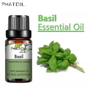 PHATOIL Эфирное масло растения базилика для облегчения тела, улучшения внимания, предотвращения старения лица, диффузор свежести воздуха, 5 мл/10 мл/15 мл/30 мл/100 мл арома-масло Basil-5ml+Dropper