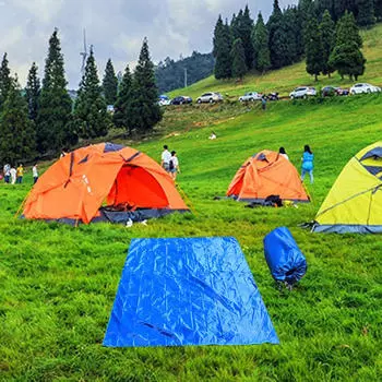 Picnic Blanket 118.11 Inchx118.11 inch Garden Sheet Sandproof Lightweight with Storage Bag Beach Mat