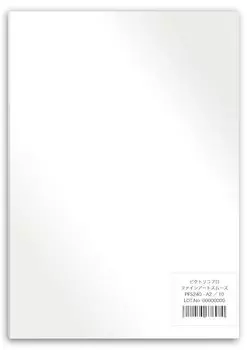 Pictrico Pro Fine Art Smooth High quality thick fine art paper with cotton PFS240-A2/10