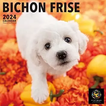 PICTWAN L003 Календарь на 2024 год [Версия L] Бишон Фризе