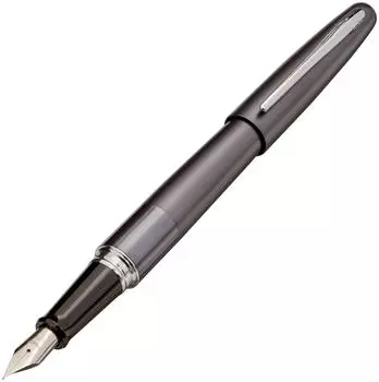 Pilot Fountain Pen Cocoon Metallic Gray Fine Point FCO-3SR-MGY-F