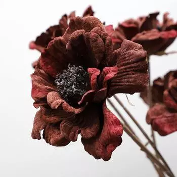 Пион с обожженным краем Свадебное украшение Домашнее украшение Искусственные цветы Dry Peony красный