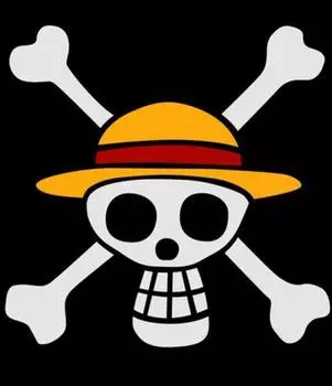 Pirate flag discharge printing black L T-shirt Size чёрный