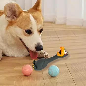 Пищащая игрушка для собак Забавная жевательная игрушка для маленьких средних больших собак Домашние животные Игра