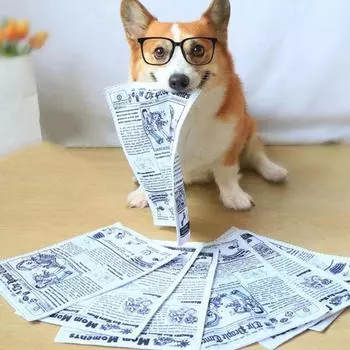 Пищащие игрушки-пищалки Газета Интерактивная звучащая игрушка Pet JQK для щенков Игрушки для собак от скуки Игральные карты Маленькие и средние собаки newspaper