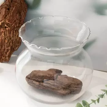 [Питомец] Большой внутренний аквариум