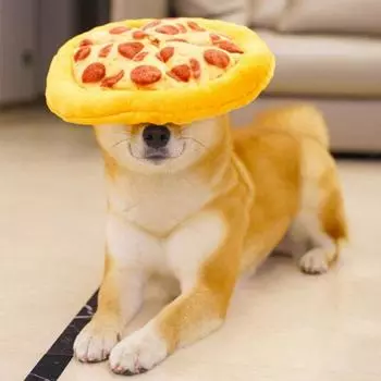 Pizza Shape Dog Sniffing Sound Paper Toy Simulation Dog Chew Toy Dog Molar Pizza Training pizza