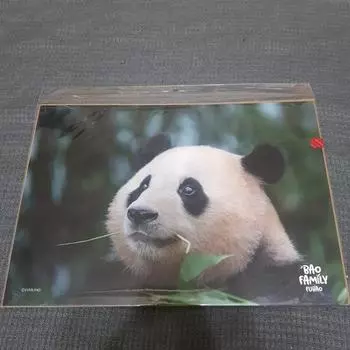 Плакат Fubao A3 Pearl