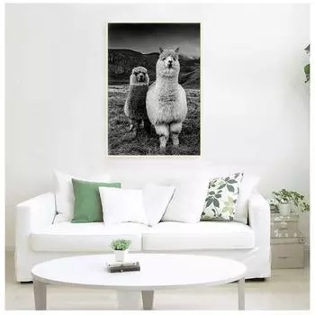 Плакат с альпакой, холст, живопись, принты с животными, настенное искусство, украшение для детского сада, живопись 21cm30cm NoFrame