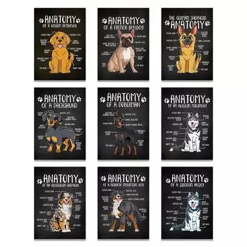 Плакат с анатомией собаки, характеристики домашнего животного, художественный принт, цитата, холст, картина, настенная картина, животные, ветеринарный больничный декор, подарок для мальчика 21x30cm No Framed