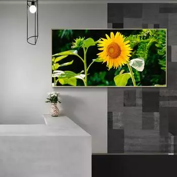 Плакат с подсолнухами, цветочное поле, холст, картина, растение, пейзаж, настенные художественные фотографии, скандинавские принты для гостиной, украшения дома 20cm40cm NoFrame