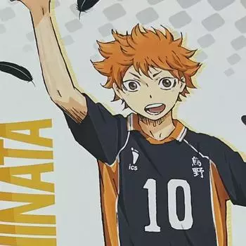 Плакат-стик «Хайкю Хината»