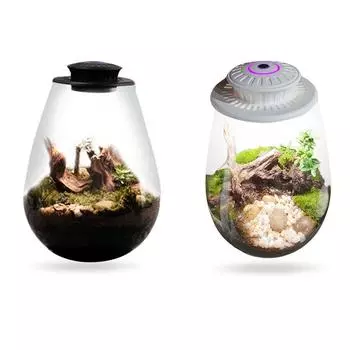 Светильник для выращивания растений 6500K, настольный миниатюрный светильник для растений с таймером, светодиодная лампа полного спектра для выращивания растений в миниатюрном ландшафтном дизайне BS