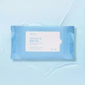 Plantnara Plantnara Jeju Салфетки для глубокого очищения с газированной водой, 20 листов, Корейское очищение