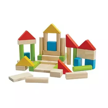 PLANTOYS Unit Block 40 Color 5513