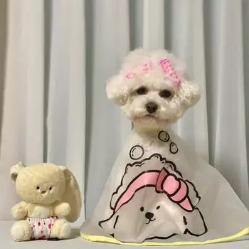 Плащ для домашних животных с мультяшным узором, водонепроницаемая одежда с матовой поверхностью, куртка для стрижки собак, уход за лицом