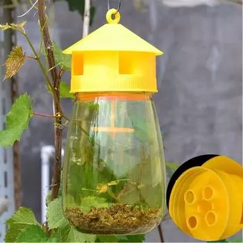 Пластиковая ловушка для фруктовых мух, ловушка для дрозофил, ловушка для уничтожения фруктовых мух, ловушка для борьбы с вредителями в саду, ловушка для мух и пчел чёрный